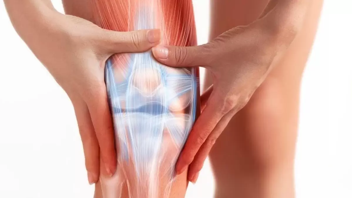 O gel Osteflex é aplicado na área articular afetada três vezes ao dia